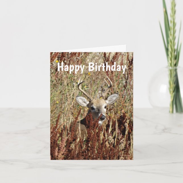 Tarjeta Festiva D31 White-tailed Deer in the Weeds (Anverso)