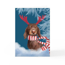 Dachshund A Través De La Nieve