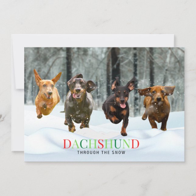 Tarjeta Festiva Dachshund a través de la nieve 4 perros divertidos (Anverso)
