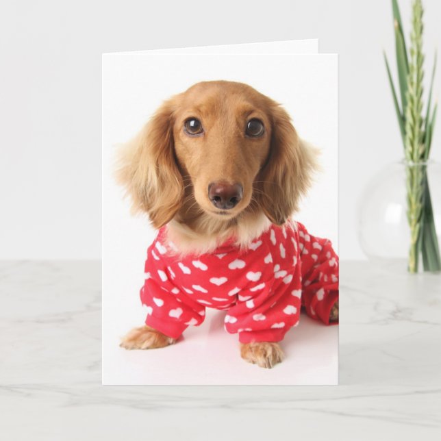 Tarjeta Festiva Dachshund Cachorro con traje de San Valentín (Anverso)