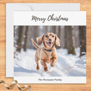 Tarjeta Festiva Dachshund crema en nieve Imagen de perro chic lind