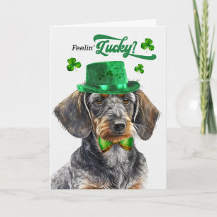Tarjeta Festiva Dachshund de pelo duro Lucky St Patrick's Day