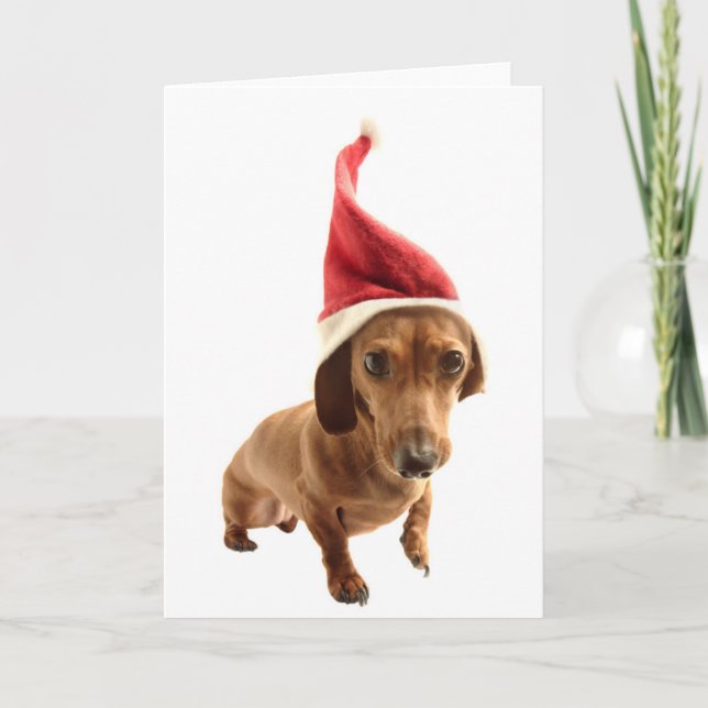 Tarjeta Festiva Dachshund en el gorra de Santa (Anverso)
