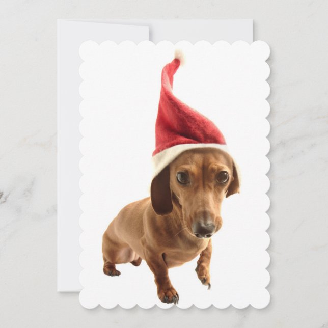 Tarjeta Festiva Dachshund en Santa hat (Anverso)