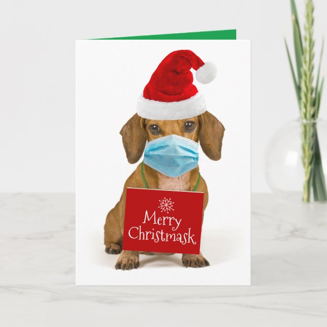 Tarjeta Festiva Dachshund lindo con máscara facial - Merry Christm (Anverso)