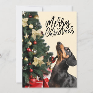 Tarjeta Festiva Dachshund negro mirando hacia arriba árbol de Navi