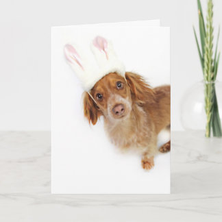 Tarjeta Festiva Dachshund Pascua