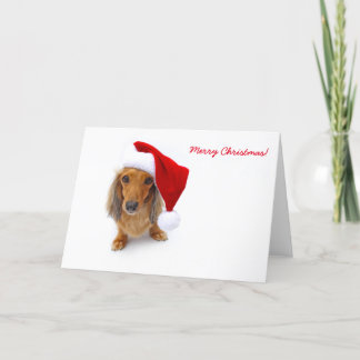 Tarjeta Festiva dachshund santa