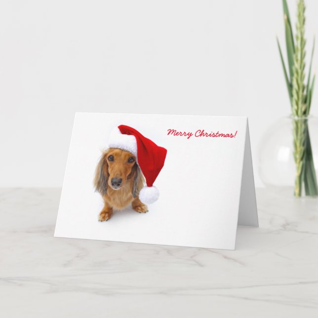Tarjeta Festiva dachshund santa (Anverso)