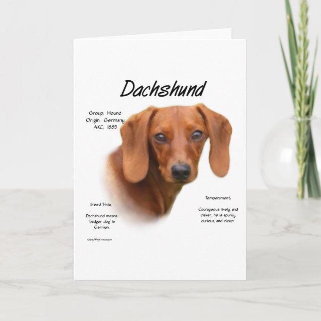 Tarjeta Festiva Dachshund suave conoce a la raza (Anverso)