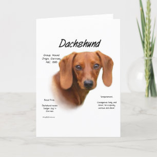 Tarjeta Festiva Dachshund suave conoce a la raza