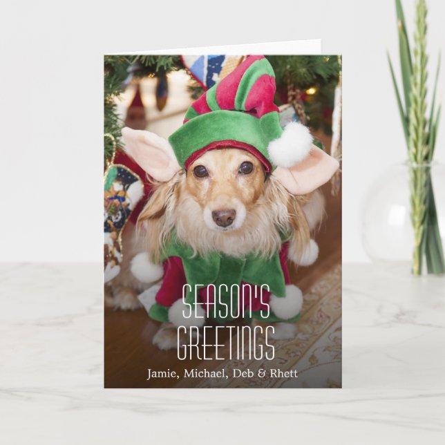 Tarjeta Festiva Dachshund viste traje de elfo santa (Anverso)