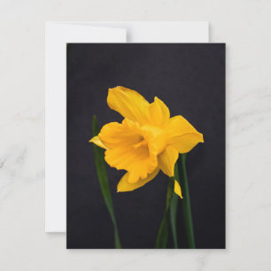 Tarjeta Festiva Daffodil amarillo