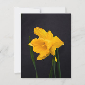 Tarjeta Festiva Daffodil amarillo
