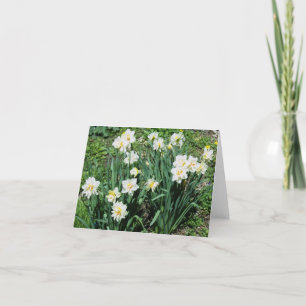 Tarjeta Festiva Daffodils