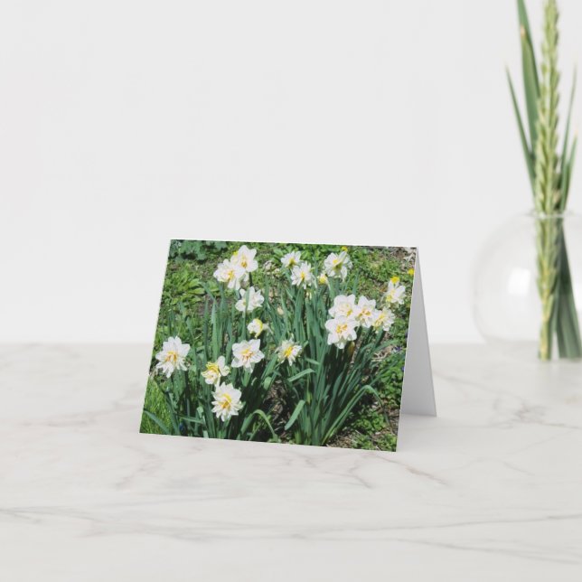 Tarjeta Festiva Daffodils (Anverso)