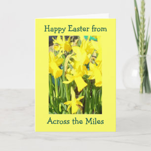 Tarjeta Festiva Daffodils A Través De Las Millas De Pascua