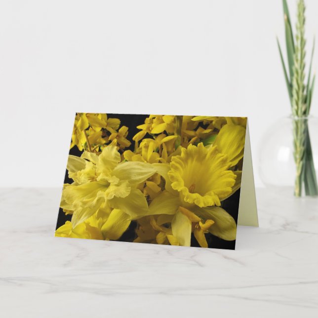 Tarjeta Festiva Daffodils y Forsythia Easter (Anverso)