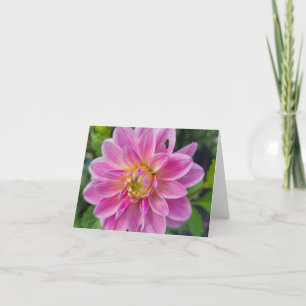 Tarjeta Festiva Dalia de jardín rosa y blanca 
