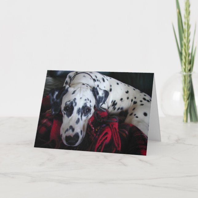 Tarjeta Festiva Dalmation dulce (Anverso)