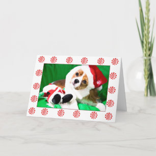 Tarjeta festiva de cachorro de Navidad del Rey Car