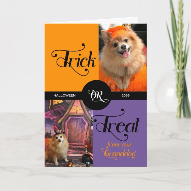 Tarjeta Festiva de GRANDDOG Trick or Treth Halloween dos fotos (Anverso)