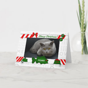 Tarjeta Festiva de la foto horizontal del gato Meowy Navidades