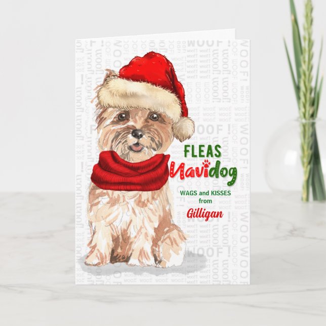 Tarjeta Festiva de los graciosos Navidades de Cairn Terrier (Anverso)