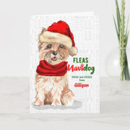 Tarjeta Festiva de los graciosos Navidades de Cairn Terrier