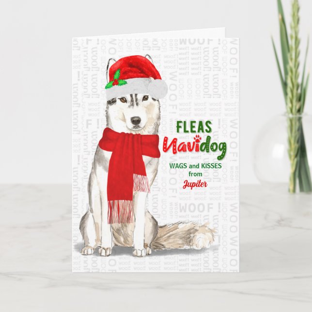 Tarjeta Festiva de los Navidades de Dog Cute Siberian Husky (Anverso)