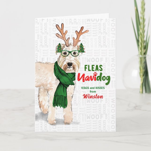 Tarjeta Festiva de los Navidades de Dog Cute Wheaten Terrier (Anverso)