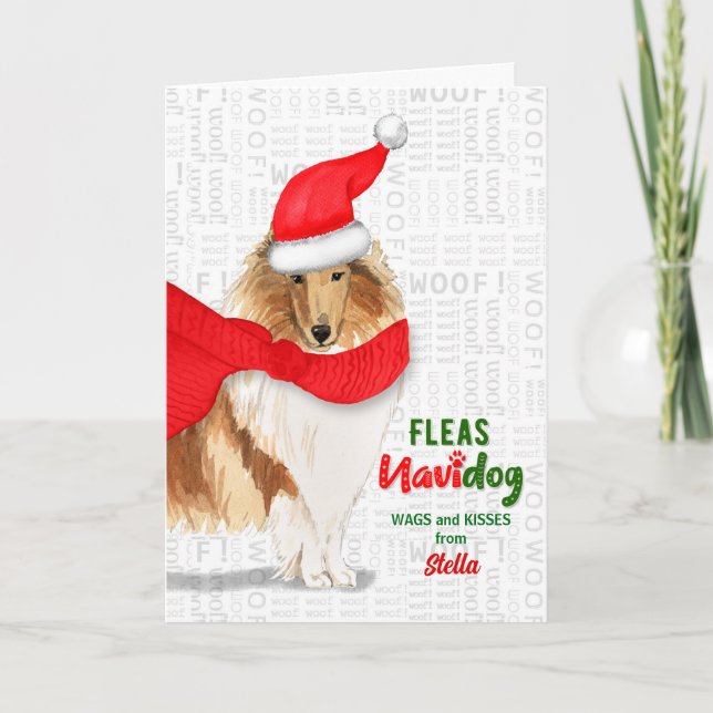 Tarjeta Festiva de los Navidades de Dog Sweet Rough Collie (Anverso)
