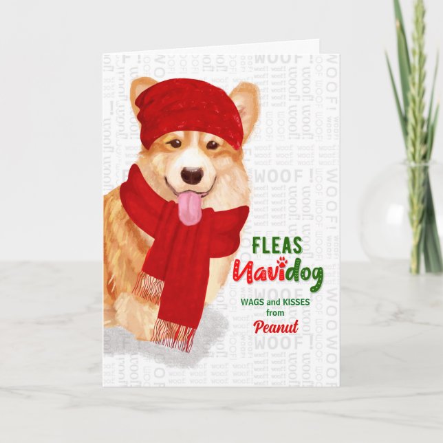 Tarjeta Festiva de los Navidades de Dog Welsh Corgi (Anverso)