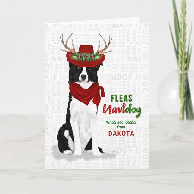 Tarjeta Festiva de los Navidades de Dog Western Border Collie (Anverso)