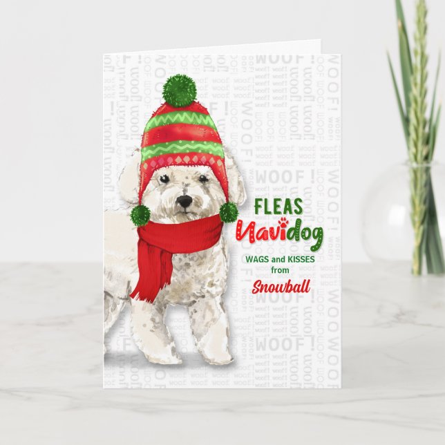 Tarjeta Festiva de los Navidades de Perro Bichon Frise (Anverso)