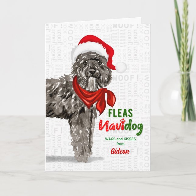 Tarjeta Festiva de los Navidades de perros Bouvier des Flandres (Anverso)