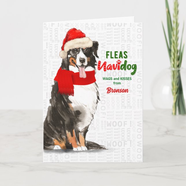 Tarjeta Festiva de los Navidades de perros de montaña Dog Bernese (Anverso)