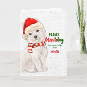 Tarjeta Festiva de los Navidades del Perro West Highland Terrier