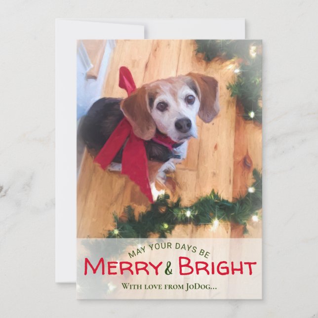Tarjeta Festiva De los Navidades Mascotas y familiares Merry y Bri (Anverso)