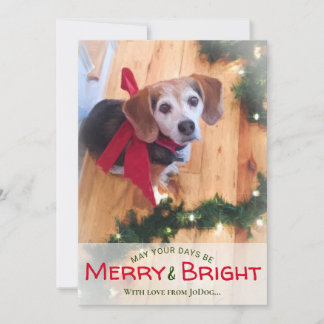 Tarjeta Festiva De los Navidades Mascotas y familiares Merry y Bri