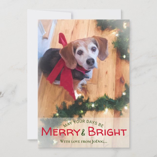 Tarjeta Festiva De Mascota y familia foto Navidades de Merry y Bri (Anverso)