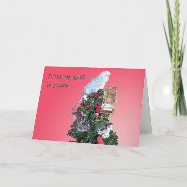 Tarjeta Festiva De mi jerarquía (Anverso)