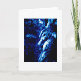 Tarjeta Festiva ¿De quién son estos bosques? Creo que lo sé..Nota 