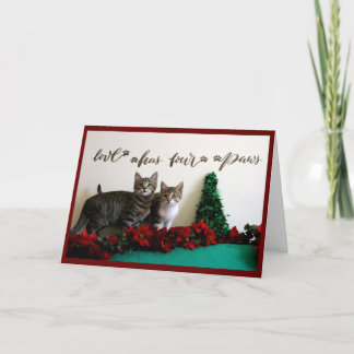 Tarjeta Festiva Decoración de dos gatitos jóvenes con Navidades