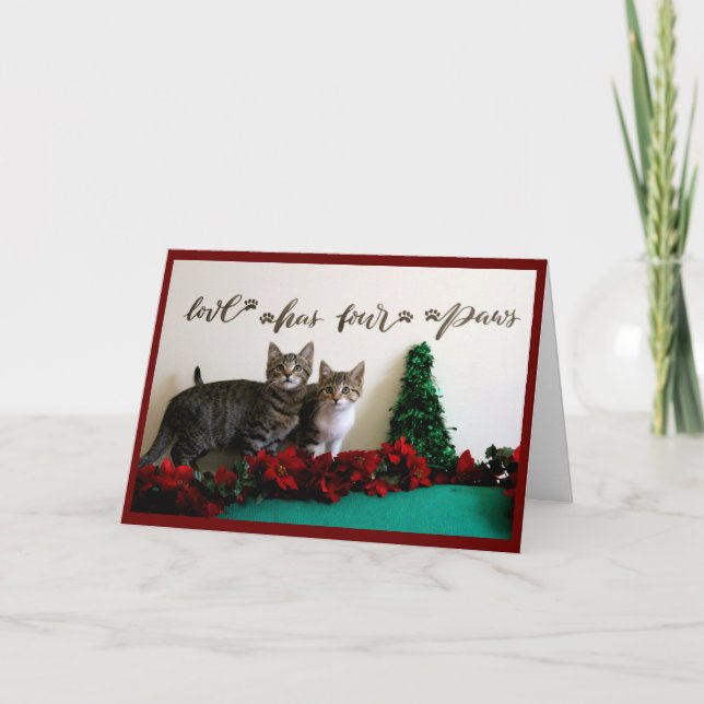 Tarjeta Festiva Decoración de dos gatitos jóvenes con Navidades (Anverso)
