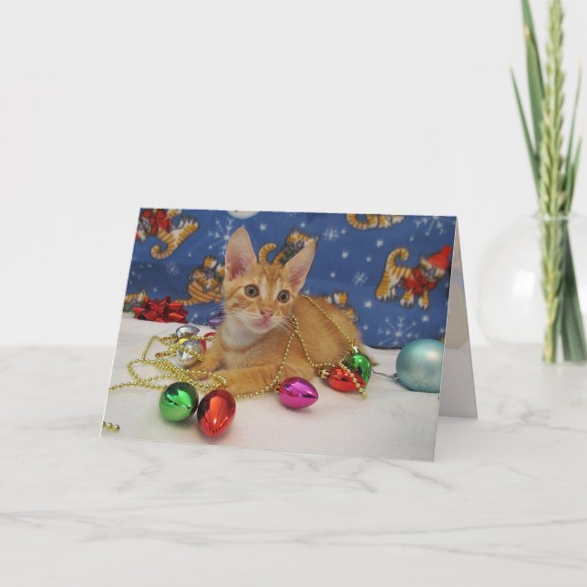 Tarjeta Festiva Decoración navideña de Jasper - Navidades gatos/ga (Anverso)