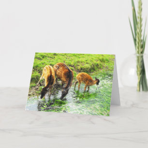 Tarjeta Festiva Deer