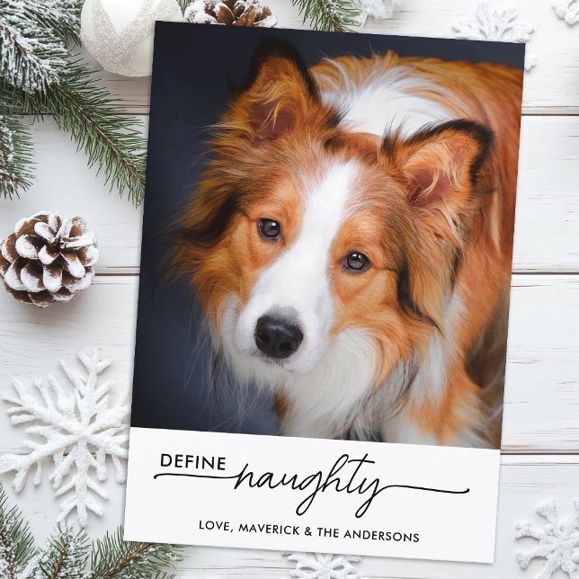 Tarjeta Festiva Define Naughy Personalizado Fotos de Perros Mascot (Subido por el creador)
