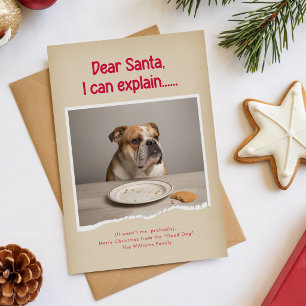 Tarjeta Festiva Definir divertida foto de mascota traviesa de perr
