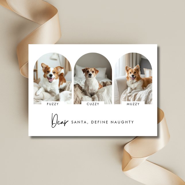 Tarjeta Festiva Definir Navidades traviesos como foto de perro arc (Subido por el creador)